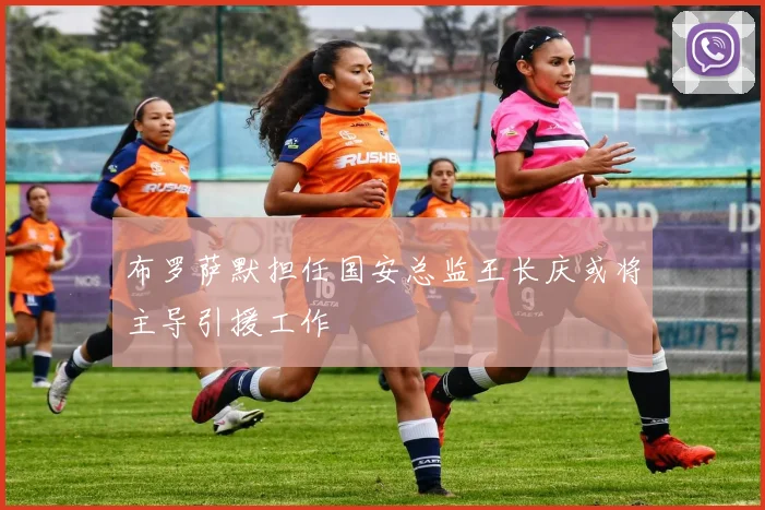 布罗萨默担任国安总监王长庆或将主导引援工作