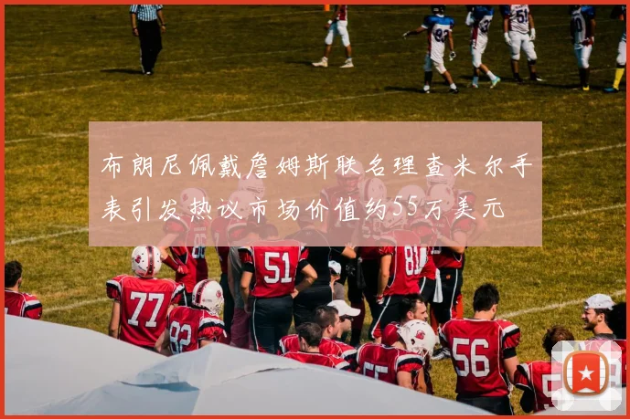 布朗尼佩戴詹姆斯联名理查米尔手表引发热议市场价值约55万美元